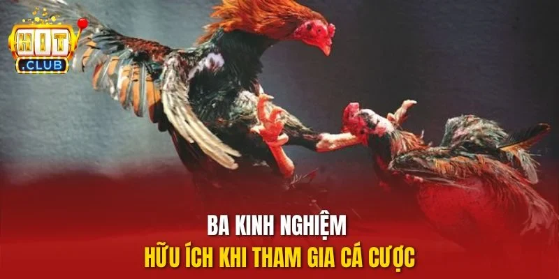 Ba kinh nghiệm hữu ích khi tham gia cá cược