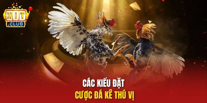 Các kiểu đặt cược đá kê thú vị