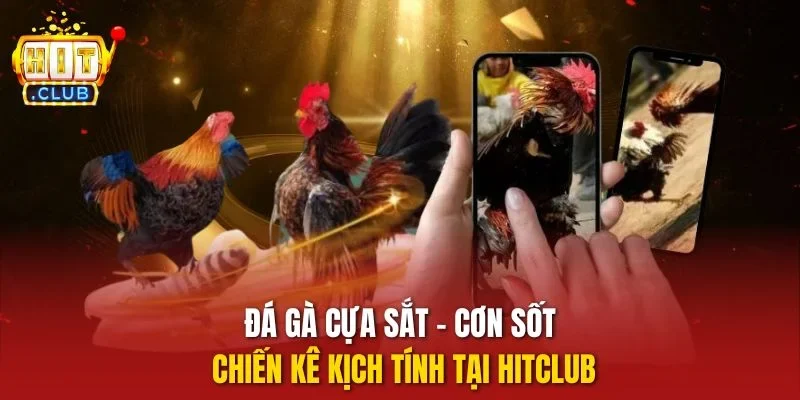 Đá gà cựa sắt