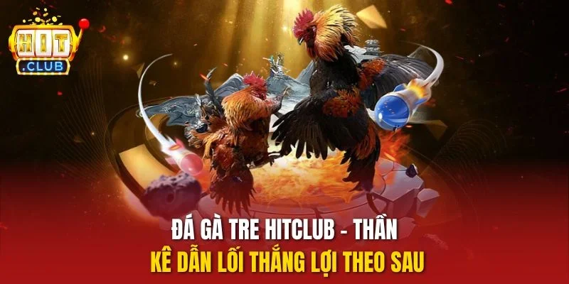 Đá gà tre