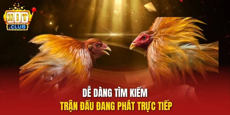 Dễ dàng tìm kiếm trận đấu đang phát trực tiếp