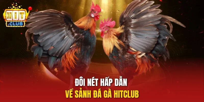 Đôi nét hấp dẫn về sảnh đá gà Hitclub
