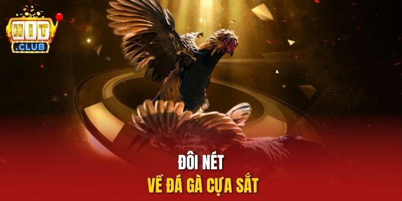 Đôi nét về đá gà cựa sắt