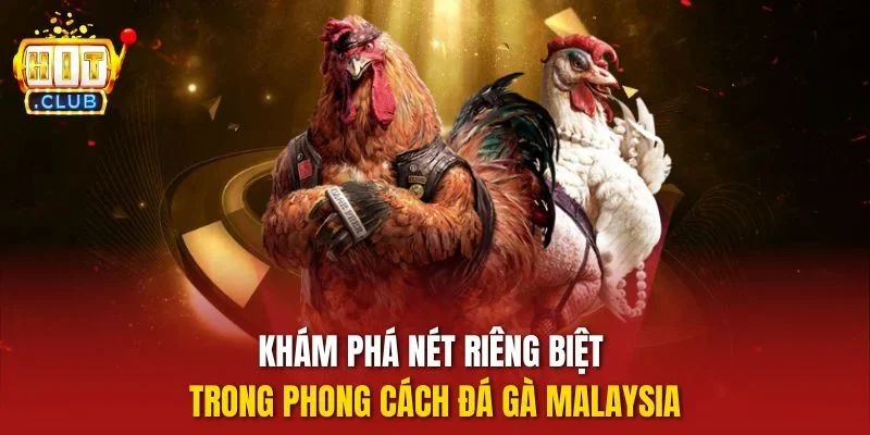 Khám phá nét riêng biệt trong phong cách đá gà Malaysia