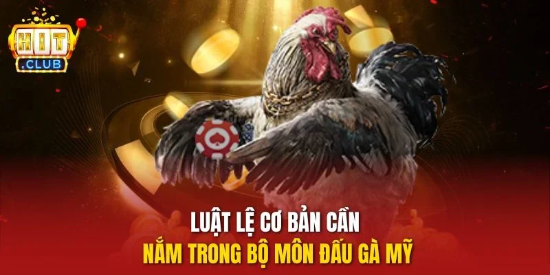 Luật lệ cơ bản cần nắm trong bộ môn đấu gà Mỹ