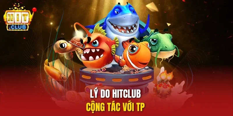 Lý do HitClub cộng tác với TP