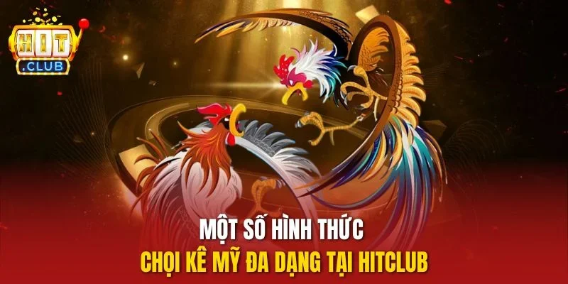 Một số hình thức chọi kê Mỹ đa dạng tại HITCLUB
