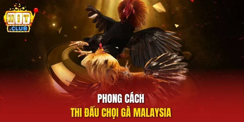Phong cách thi đấu chọi gà Malaysia
