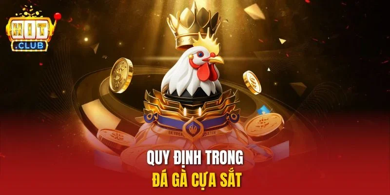 Quy định trong đá gà cựa sắt