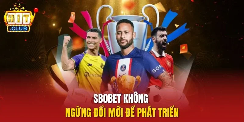 Cá cược bóng rổ an toàn tại sảnh thể thao