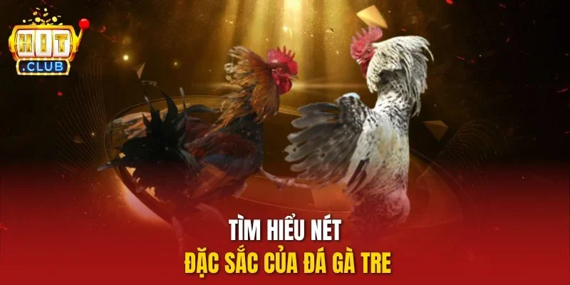 Tìm hiểu nét đặc sắc của đá gà tre