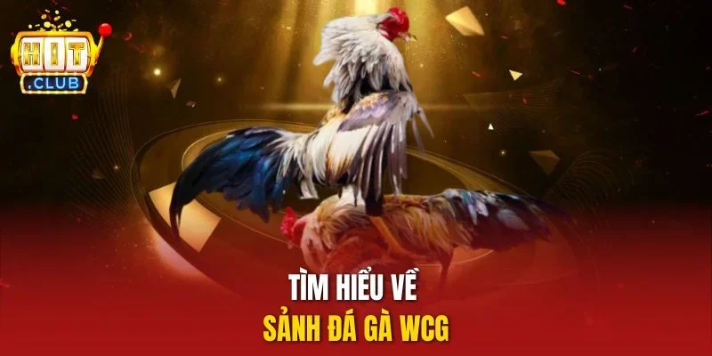 Tìm hiểu về sảnh đá gà WCG