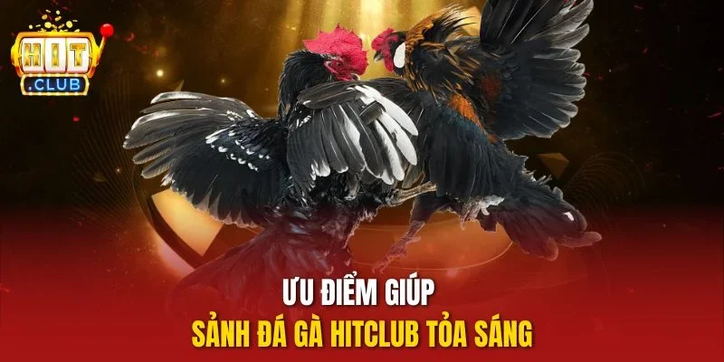 Ưu điểm giúp sảnh đá gà Hitclub tỏa sáng